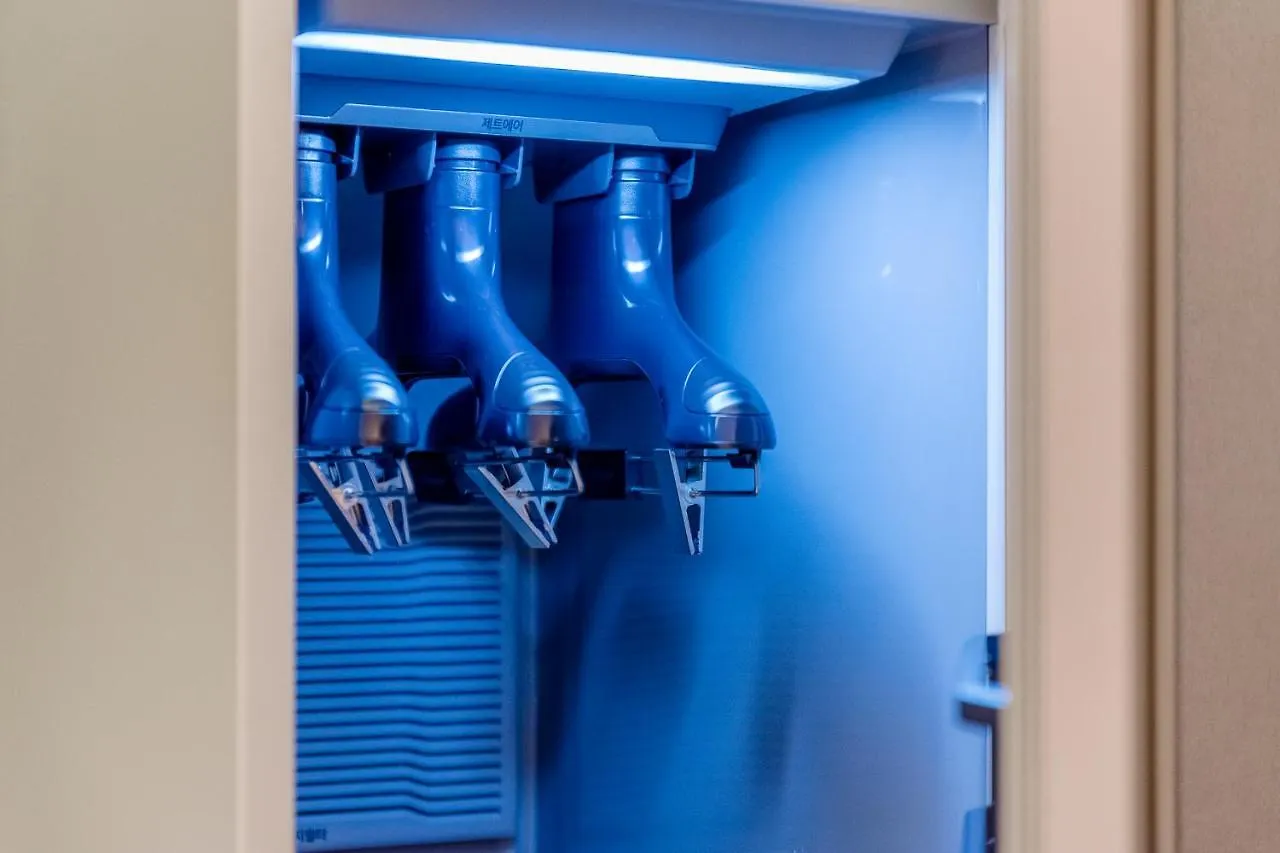 Air Sky Hotel Μπουσάν 3*,